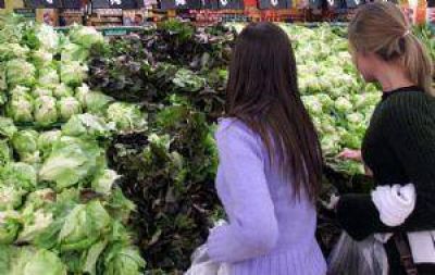 Los precios de la lechuga, la acelga y los zapallitos ya aumentaron el 100%