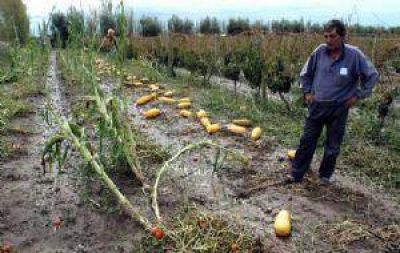 Jun�n pelea por ayuda que no llega a los productores afectados