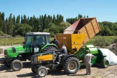 Contin�a la cosecha de ma�z y sorgo en Rawson