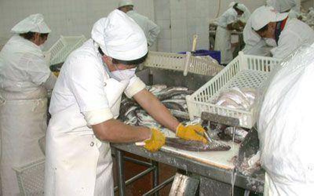 Gremios en alerta por la falta de recurso pesquero
