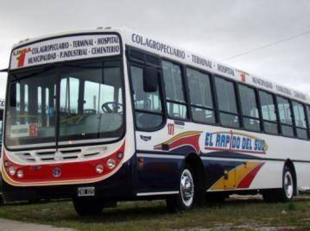 Los nuevos colectivos hacen su presentaci�n en sociedad