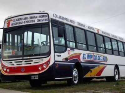 Los nuevos colectivos hacen su presentaci�n en sociedad