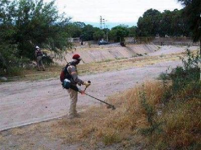 Trabajan en la recuperaci�n de plazas y de espacios verdes