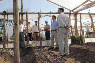 El Gobernador visit� emprendimiento hort�cola que suministrar� verduras a comercios locales 