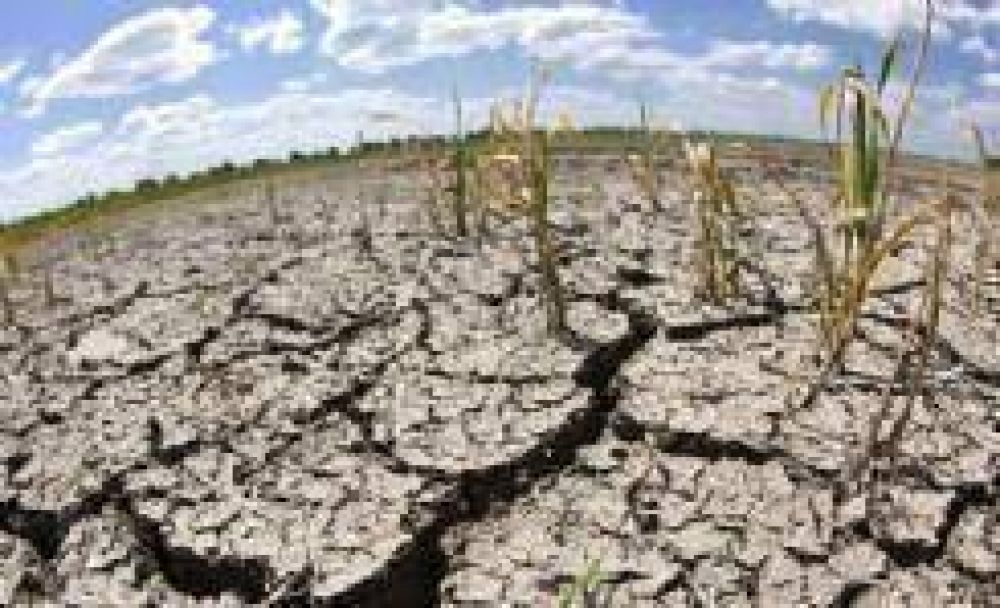 Prorrogan el estado de emergencia agropecuaria por sequ�a en Santiago