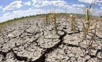 Prorrogan el estado de emergencia agropecuaria por sequ�a en Santiago