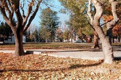  Alertan sobre venta de lotes en Fern�ndez Oro