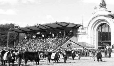 La venta de la Rural complica a Menem