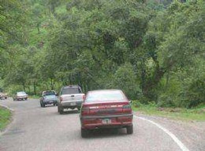 Hay 43 firmas interesadas en la ruta 307