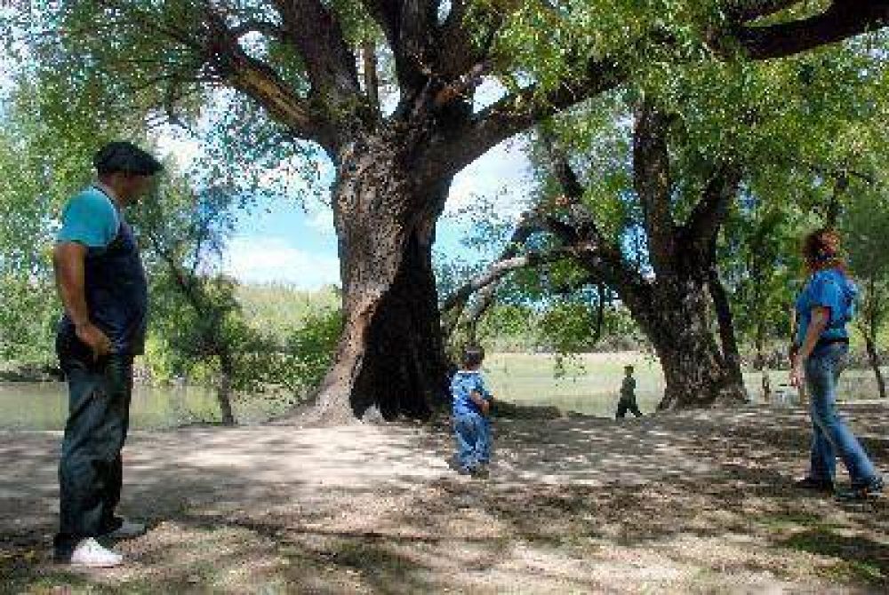  Aumenta la pol�mica en el �rea protegida de Roca