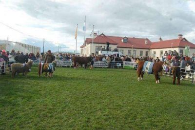 La Sociedad Rural denunci� el registro hist�rico mas bajo de la poblaci�n ovina