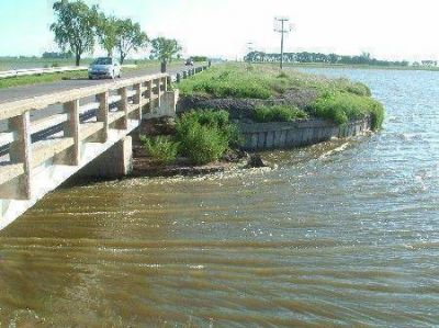 Vamos a insistir en la remoci�n y renovaci�n del Puente Lincoln", dijo Borchex