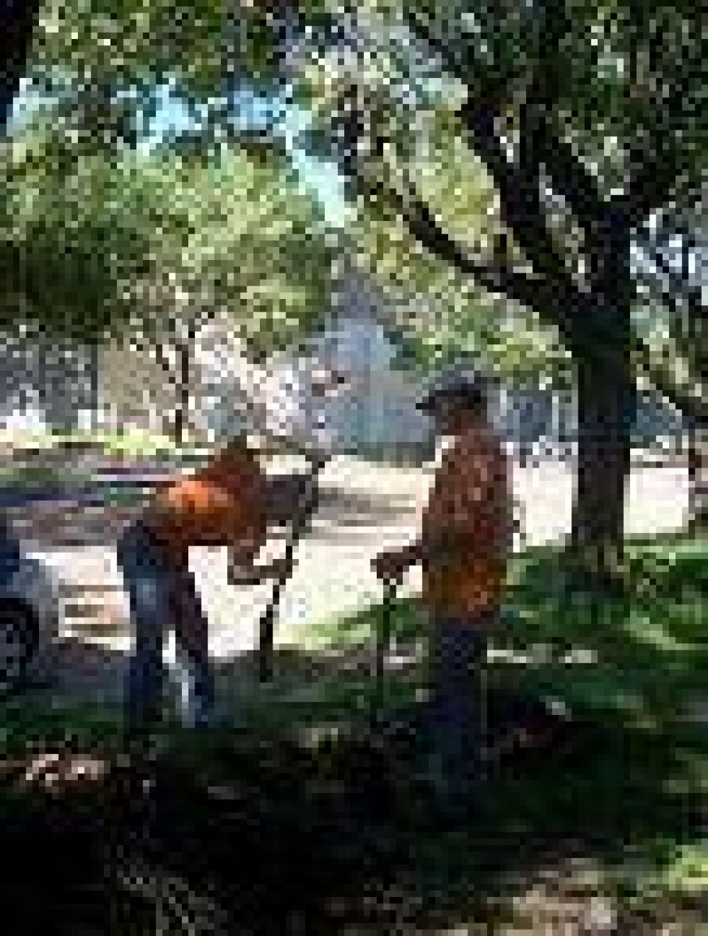 AVANZAN LOS PREPARATIVOS PARA EL INICIO DE LA OBRA DE PAVIMENTO