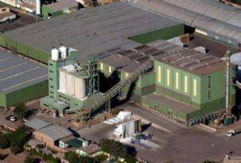 Rayn Cur invertir U$S 60 millones para aumentar su produccin un 60%