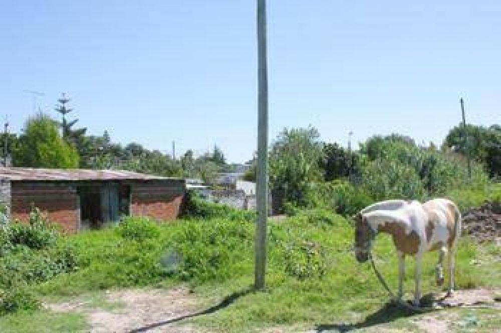 En Villa Florida Solicitan m�s prolijidad en obra