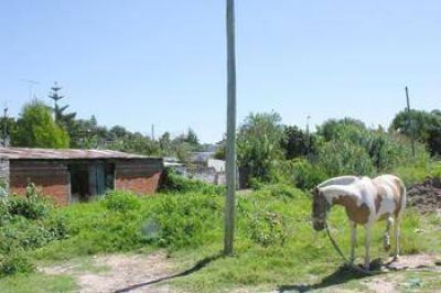 En Villa Florida Solicitan m�s prolijidad en obra