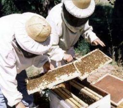 Incentivan a productores rurales para que evitar su �xodo hacia la ciudad