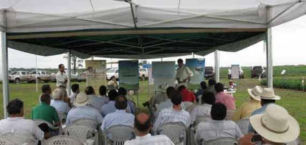 Jornada de Bayer en Salta sobre orugas y picudos en soja 