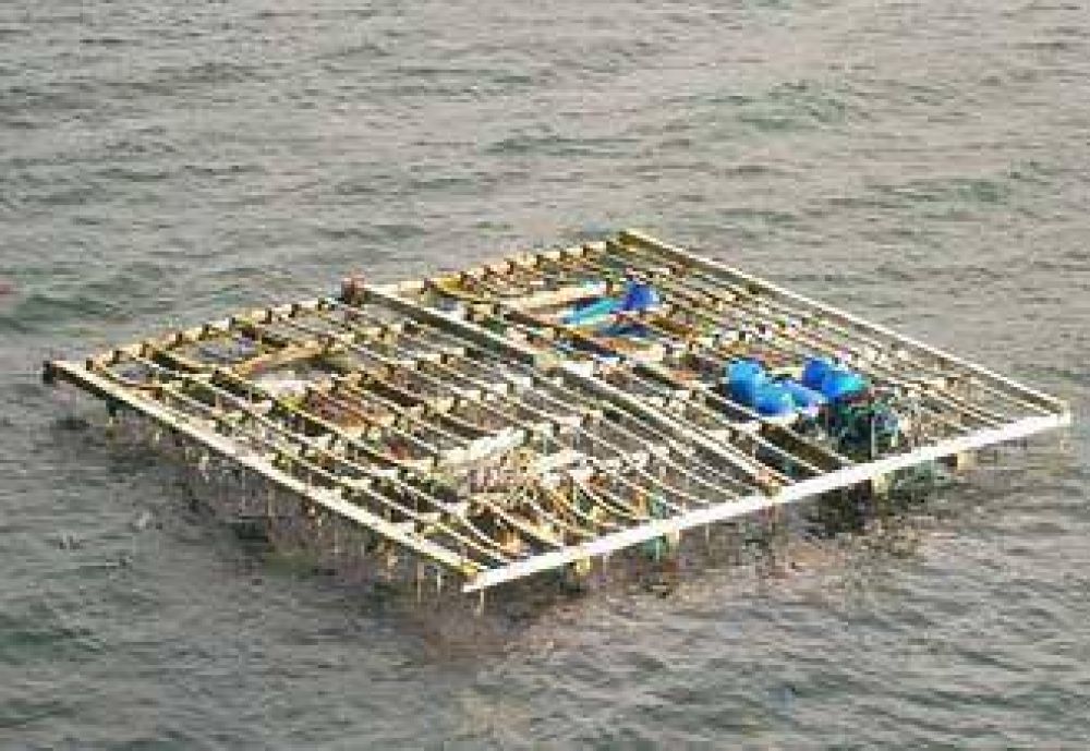 Acuicultores de Almanza: solos en el mar