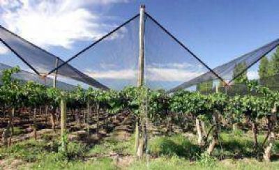 Avanza la propuesta para instalar f�brica de malla antigranizo