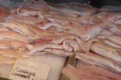 En Mar del Plata, la merluza no se consigue a 12,50 pesos el kilo