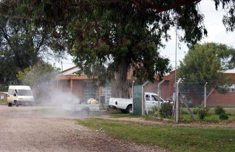 Continuar�n las fumigaciones tras la lluvia