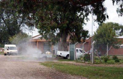 Continuar�n las fumigaciones tras la lluvia