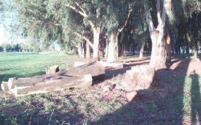 Vecinos indignados con la tala de �rboles en un amplio sector del Parque Borchex