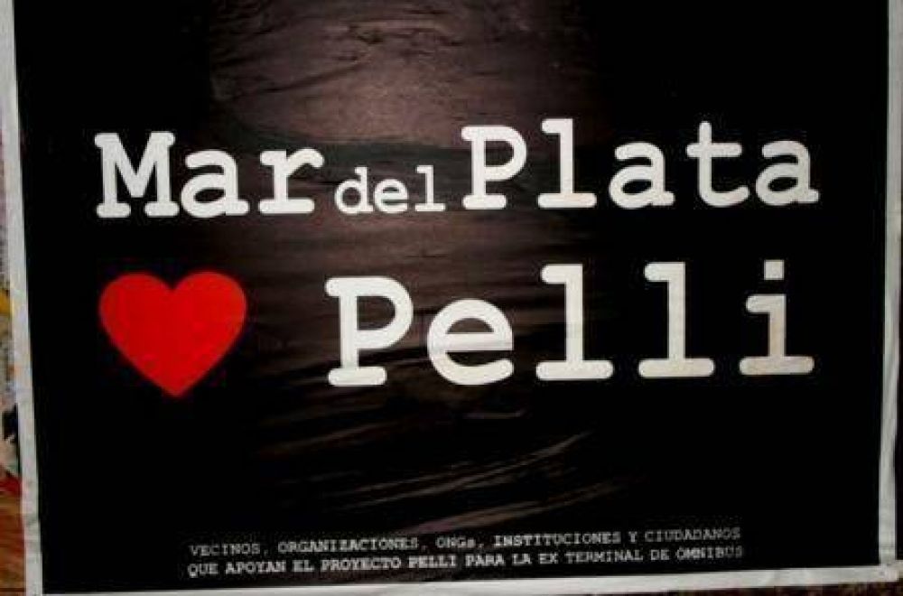 Apoyo a proyecto de Pelli
