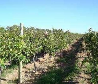 San Juan, lejos de Mendoza al integrar a los vi�ateros