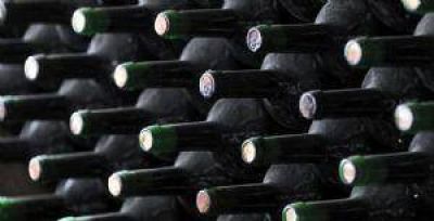 Mendoza ser� sede de una cumbre vitivin�cola mundial