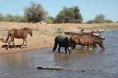 Ampl�an la represa de Puerto del Valle