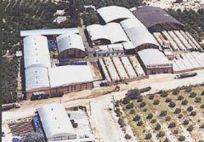 Trabajan en el ante- proyecto para la pr�rroga de Promoci�n Industrial