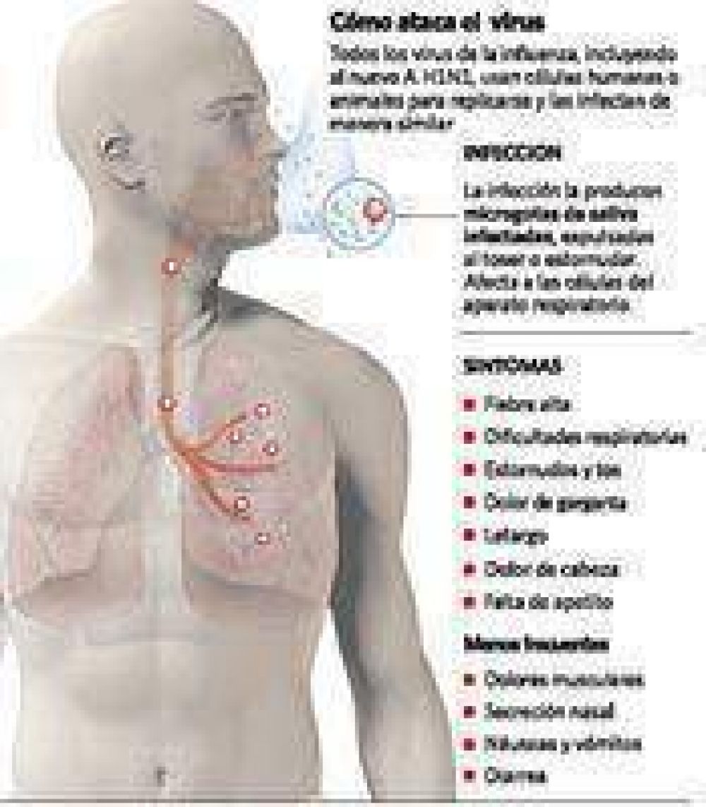 Vacuna contra la gripe: hay mucha demanda y faltan dosis