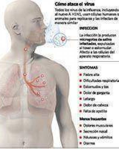 Vacuna contra la gripe: hay mucha demanda y faltan dosis