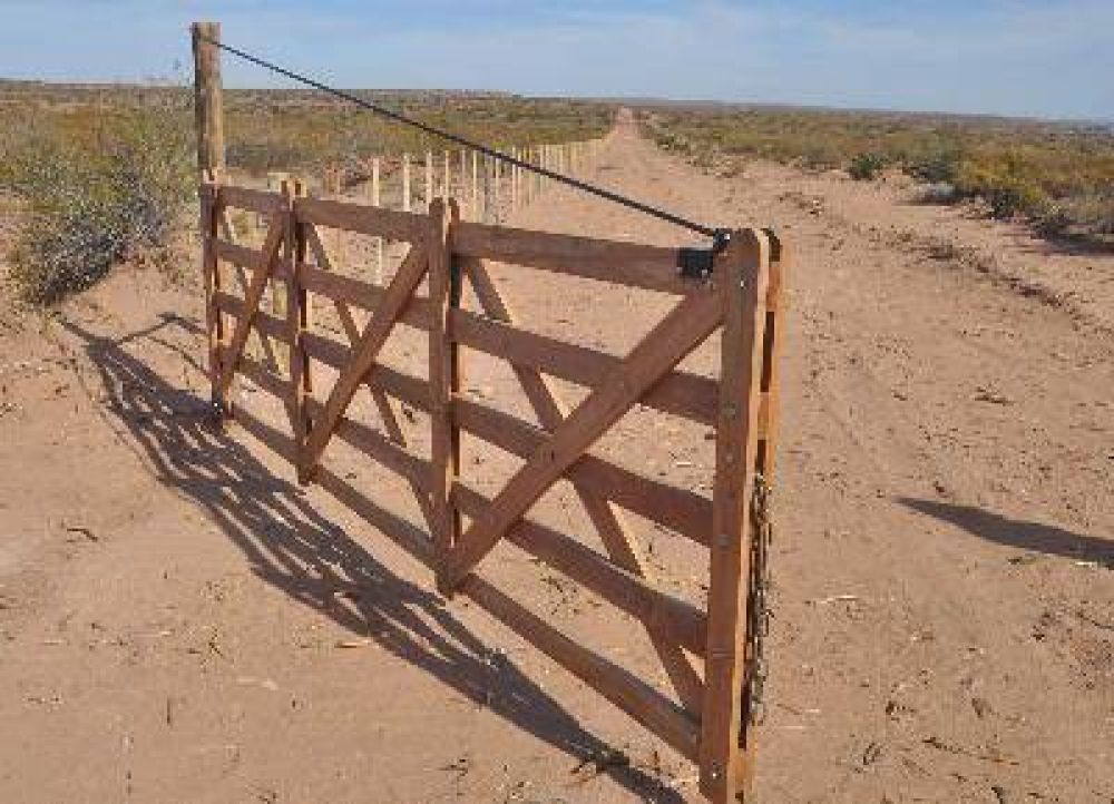  Ceden tierras fiscales para proyecto vitivin�cola