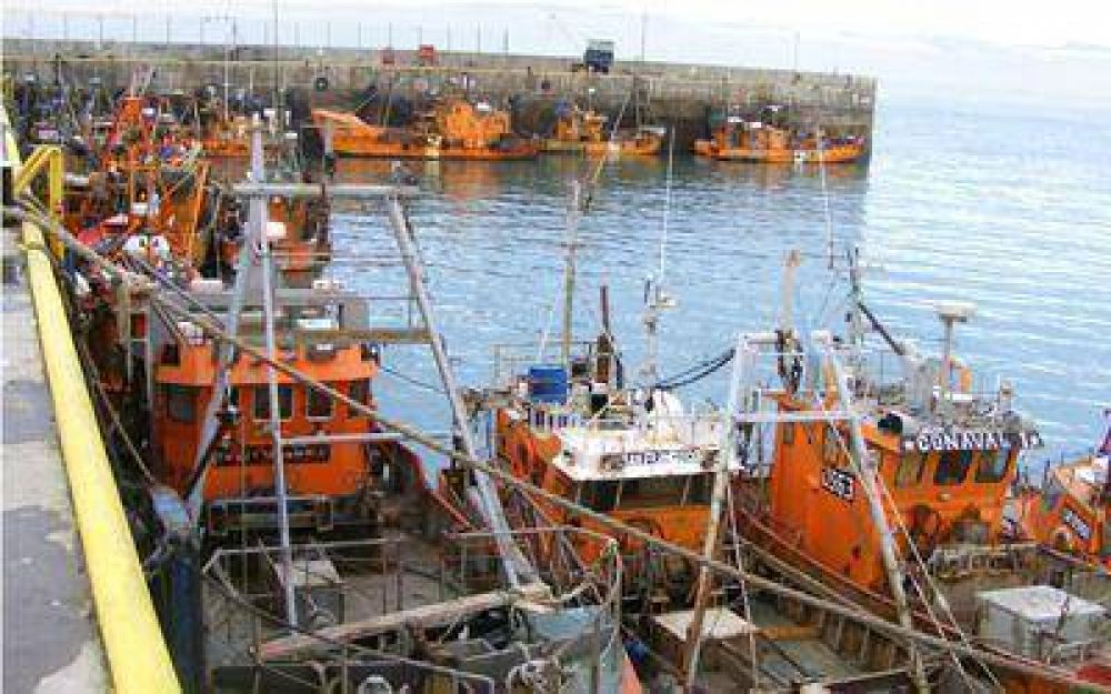 Sigue faltando merluza en el Golfo San Jorge