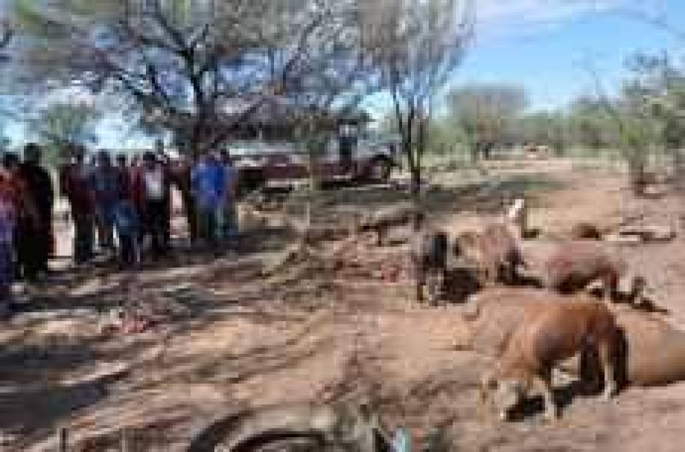 Beder anunci� obras de erradicaciones de ranchos y aserradero de granito