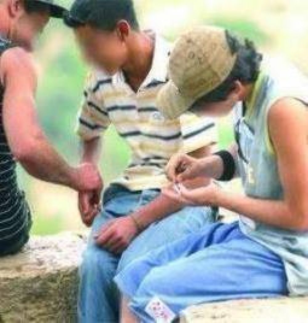 Se comercializan cerca de 10 mil �porros� por d�a en la provincia