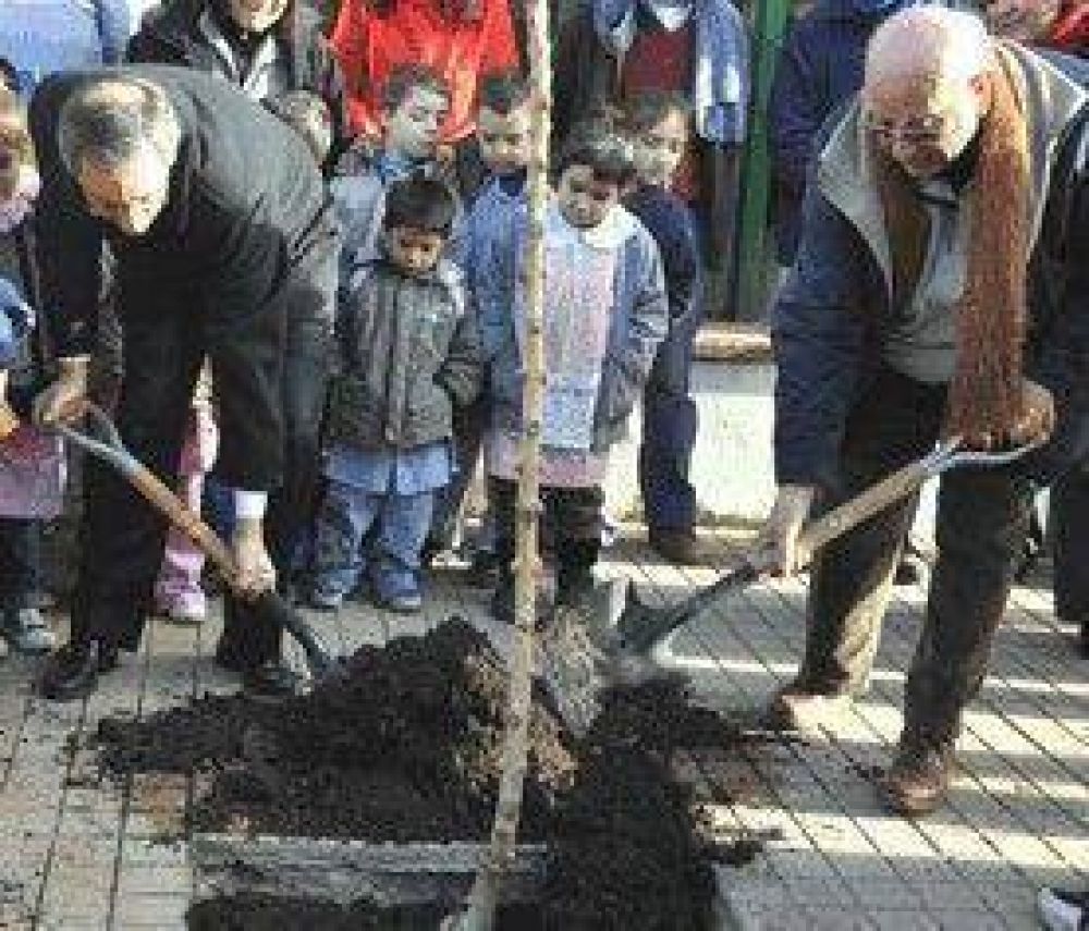 Buscan ampliar la forestaci�n en calles de la planta urbana