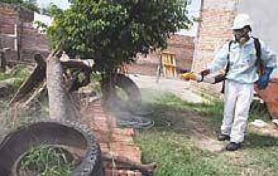 Estudian 12 posibles casos de dengue aut�ctono en Clodomira