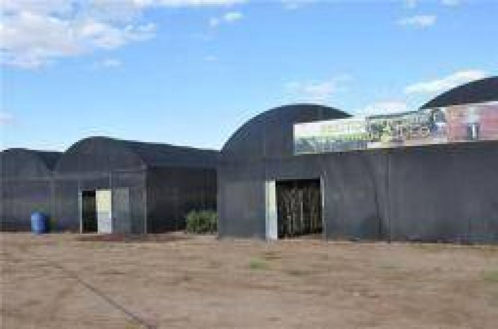 Con vivero propio, La Rioja busca aplicar su plan de forestaci�n