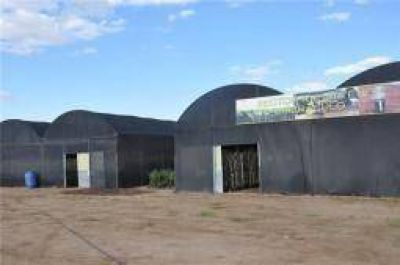 Con vivero propio, La Rioja busca aplicar su plan de forestaci�n