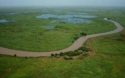 Dar�n inicio al proyecto de conservaci�n de los humedales del delta del Paran�