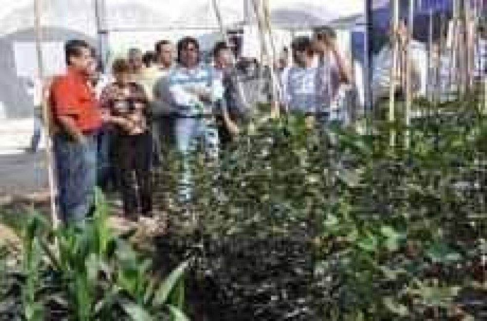 EXPECTATIVAS EN NUEVA EMPRESA DEL ESTADO El gobierno present� el plan provincial de forestaci�n