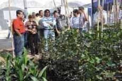 EXPECTATIVAS EN NUEVA EMPRESA DEL ESTADO El gobierno present� el plan provincial de forestaci�n