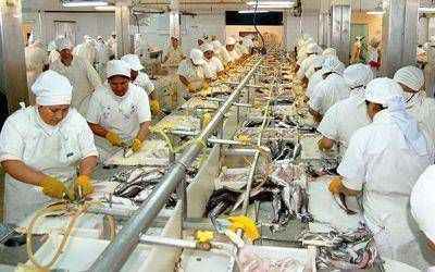 Pesqueros que operan en Chubut abastecer�an a plantas de Santa Cruz