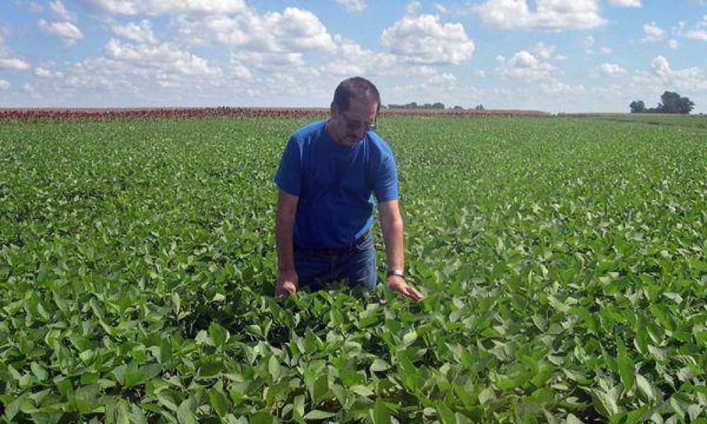 Llega al pa�s un alto funcionario chino y hay optimismo entre los representantes del sector sojero