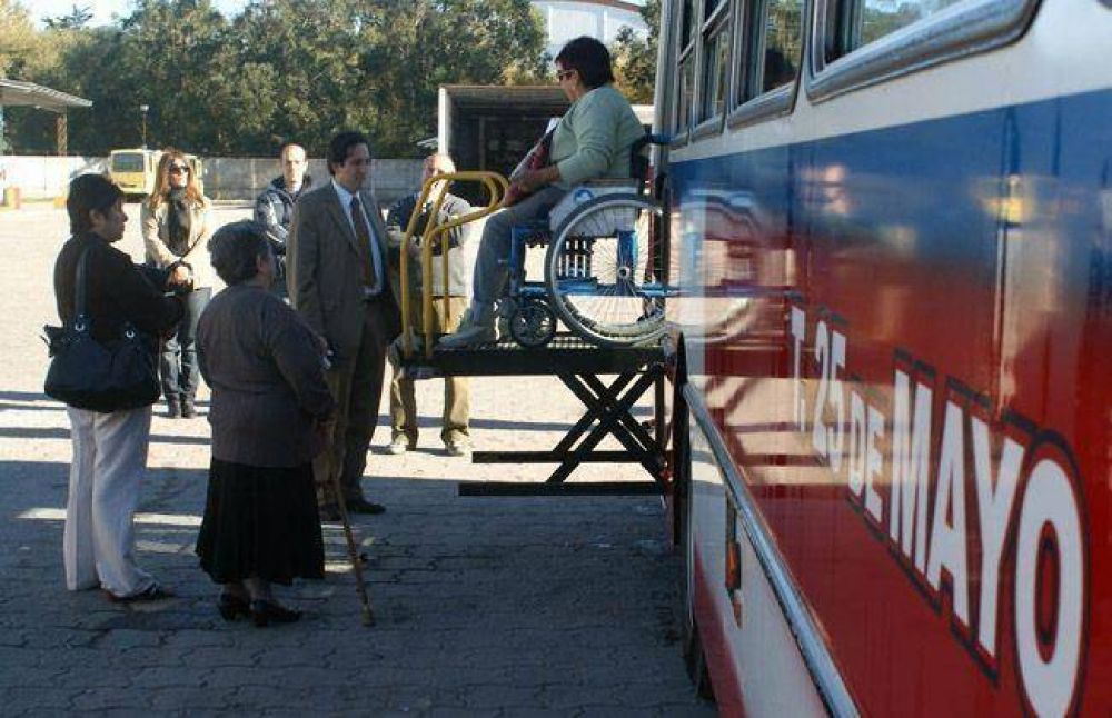 La Municipalidad inspeccion� colectivos