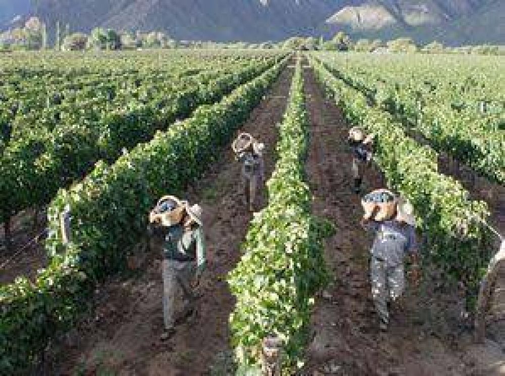 Avanzan en firmar un convenio contra trabajo en negro rural